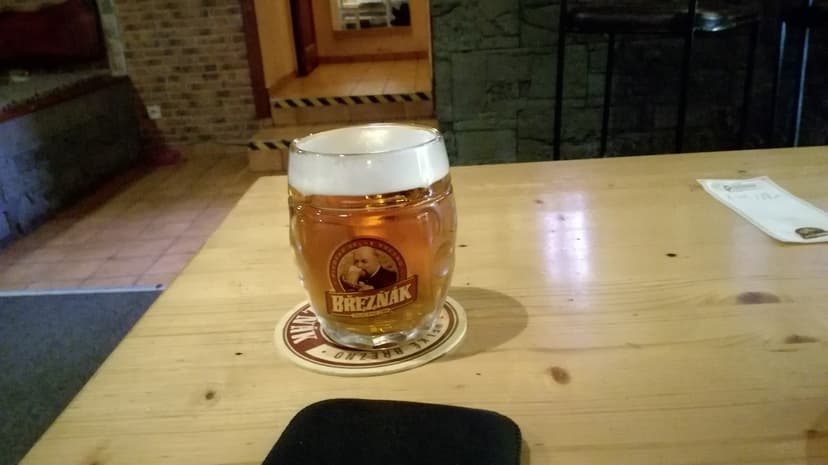 Bar pod ZOO 9