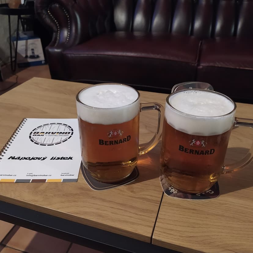 BARVINO BAR v centru Znojma 3