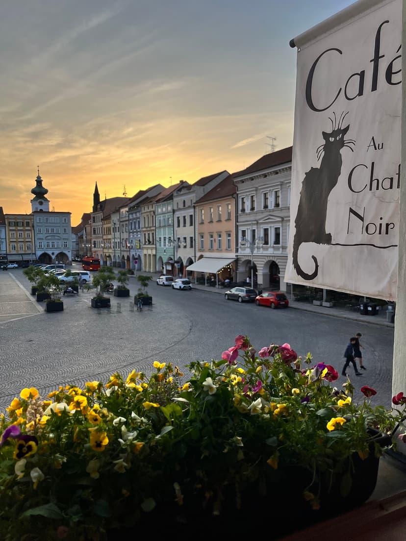 Café au Chat Noir 2