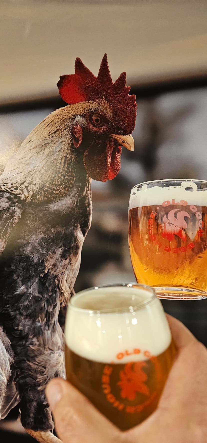 Čepárna Old Cock 7