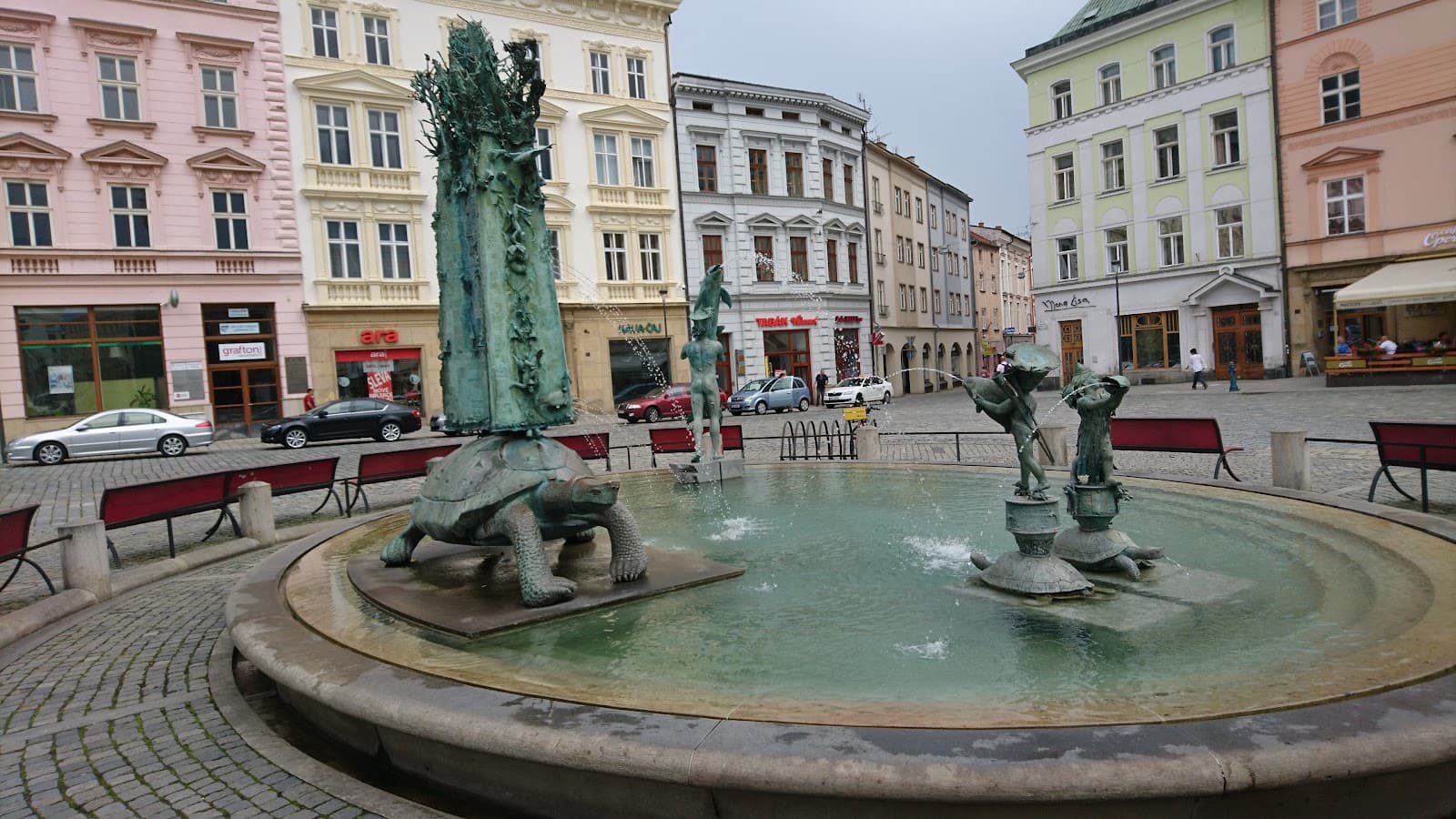 Image 7