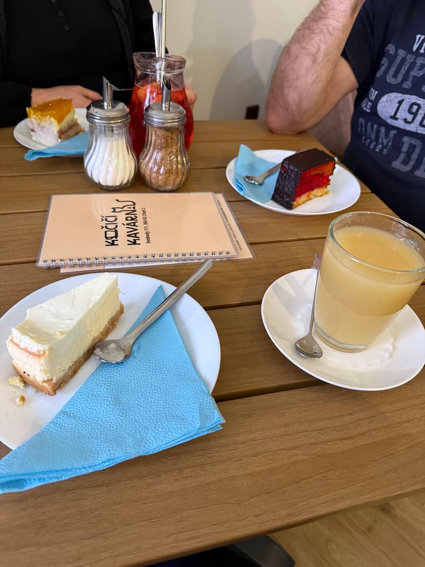 Kočičí kavárna / Cat Cafe / Katzencafé 10