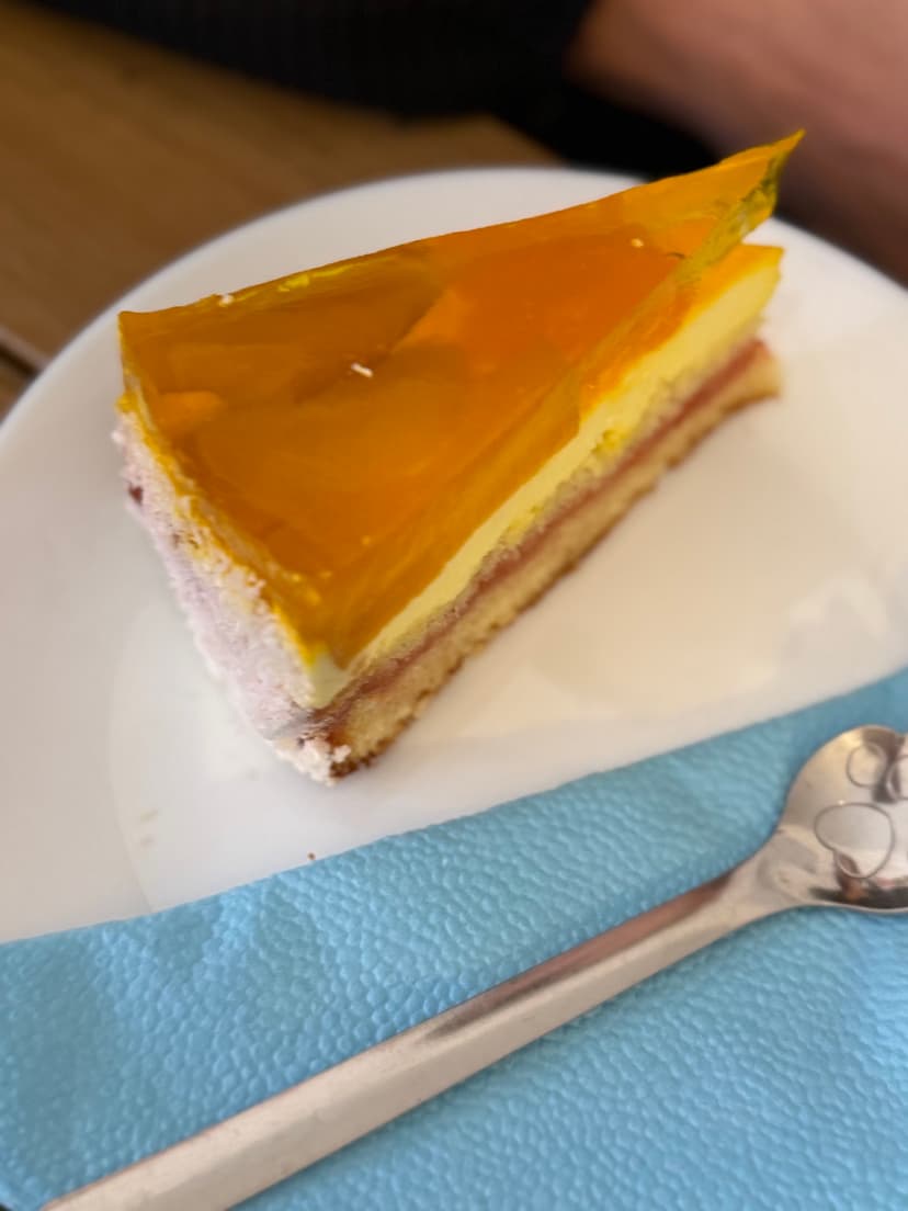 Kočičí kavárna / Cat Cafe / Katzencafé 1
