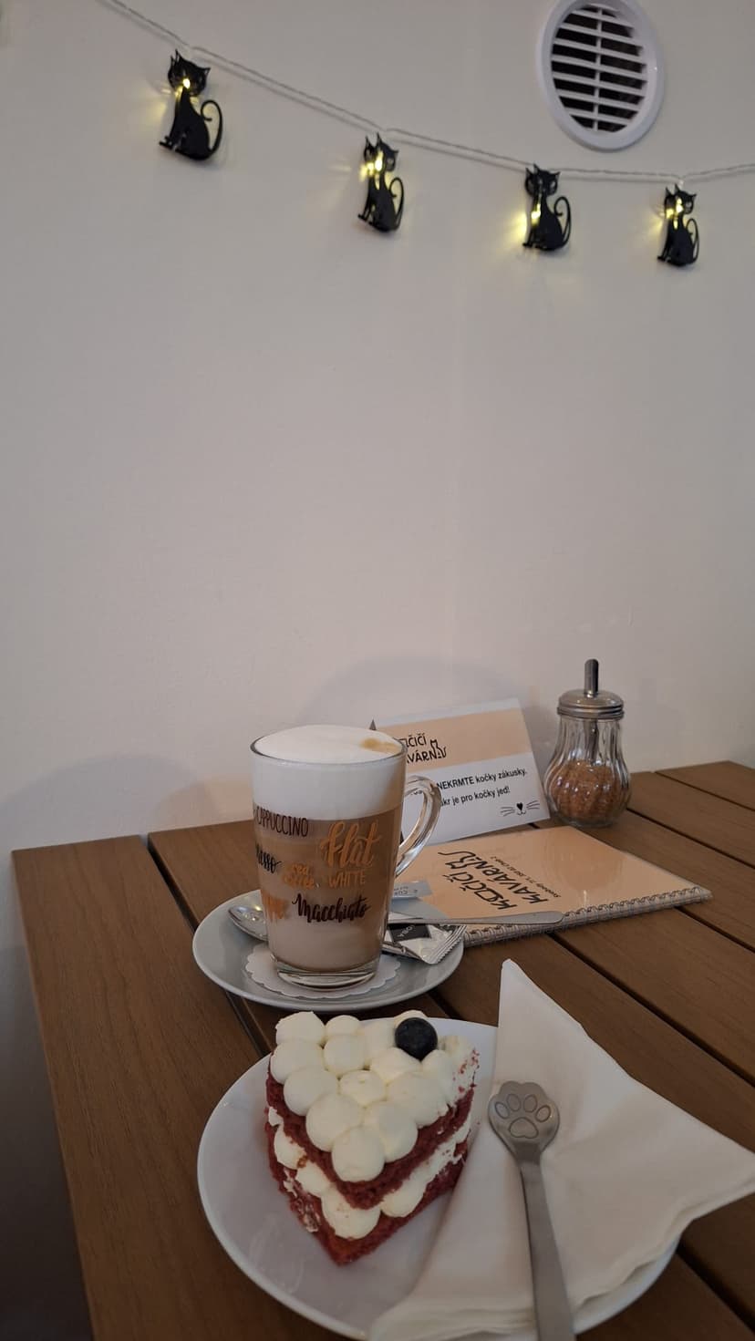 Kočičí kavárna / Cat Cafe / Katzencafé 3