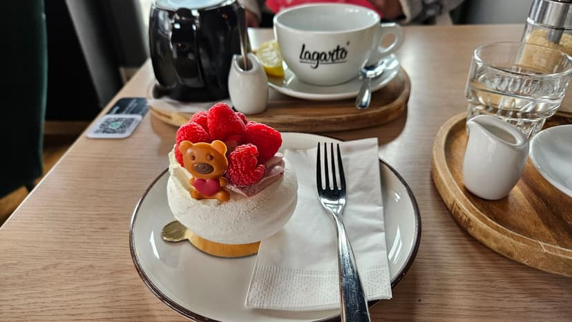 Lagarto Deli Most 6