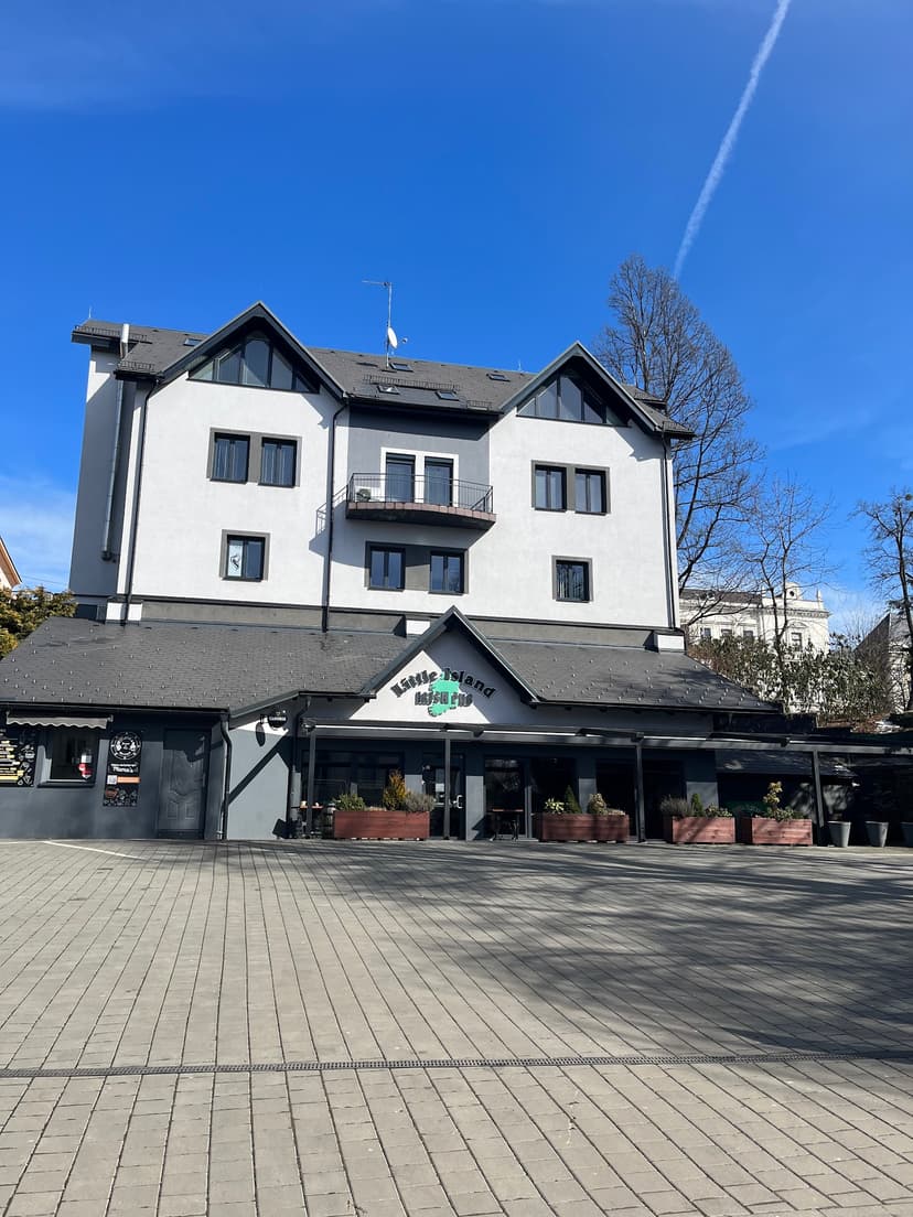 Little Island - Irish pub 6