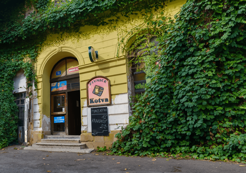Pivnice Kotva 4