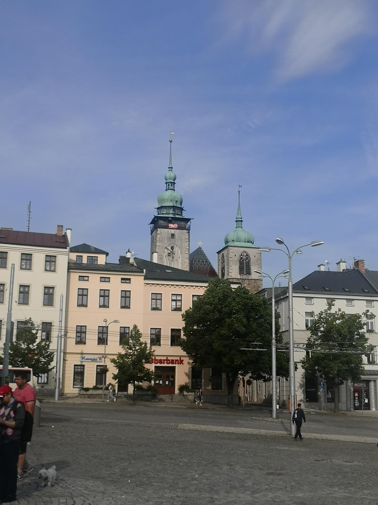 Image 8
