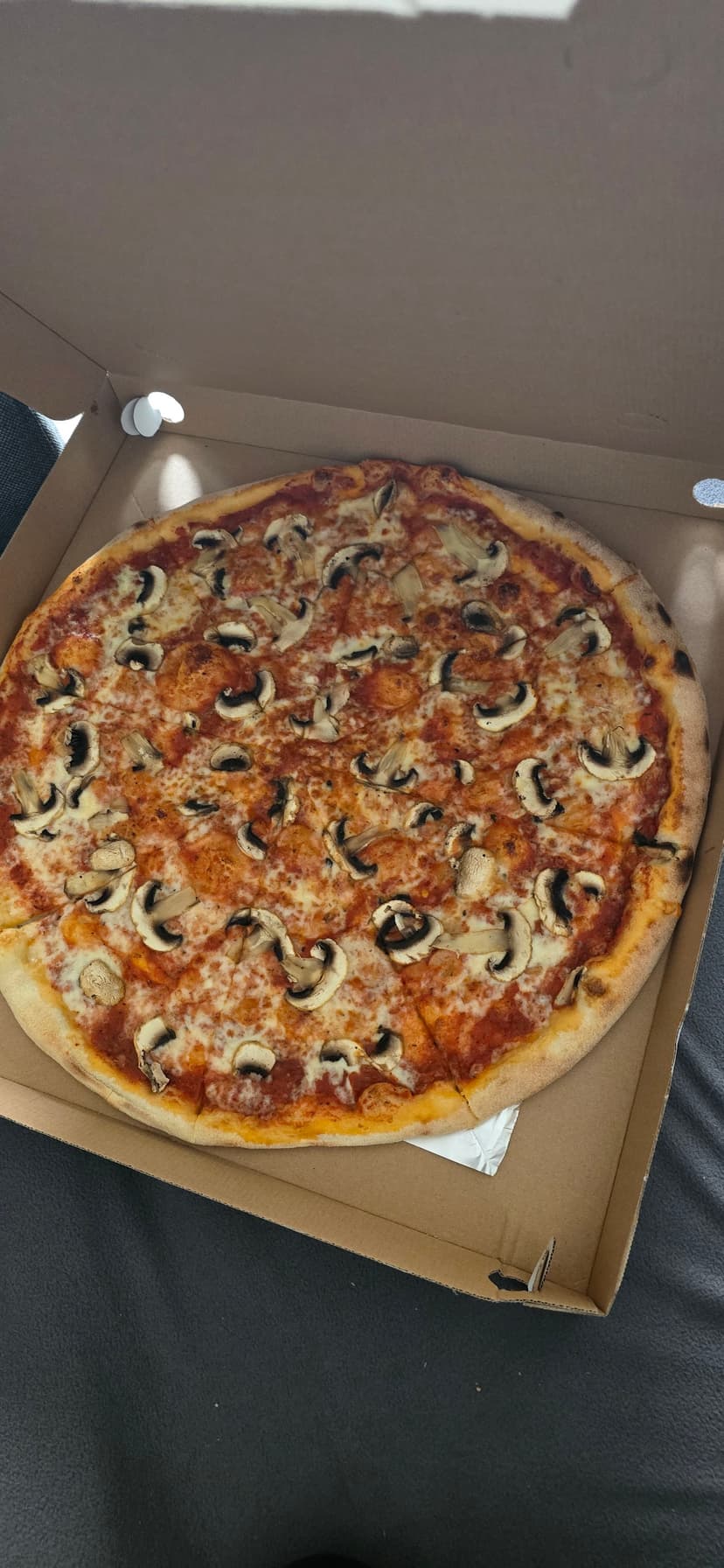 Pizza&Zmrzlina Mimoza 1