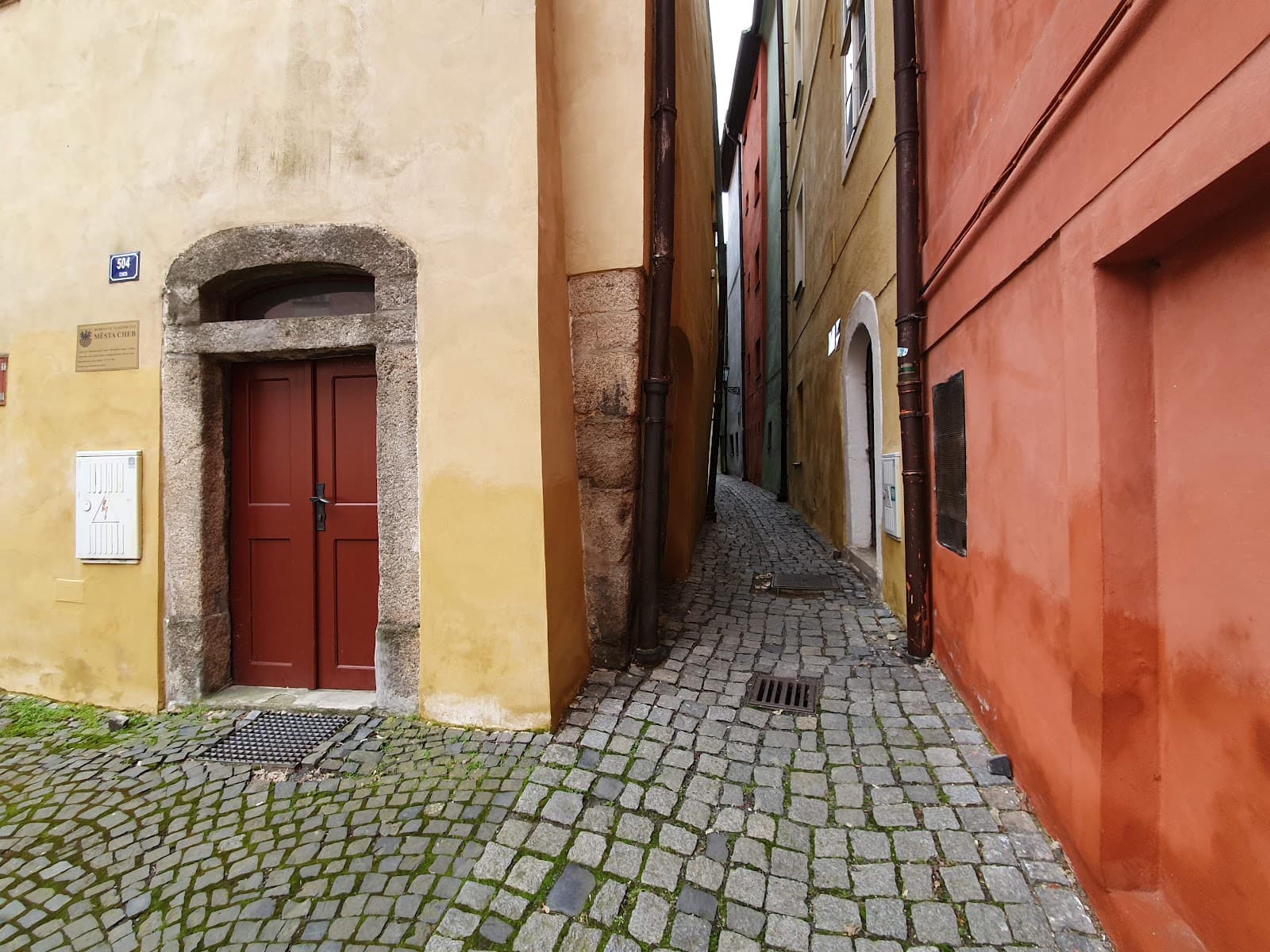 Image 6