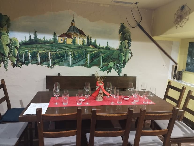 Vinárna s galerií U Lucifera 10
