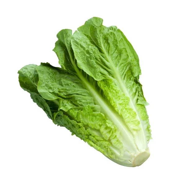 Bio Hummus Tomato & Smoked Salt Rudolfs