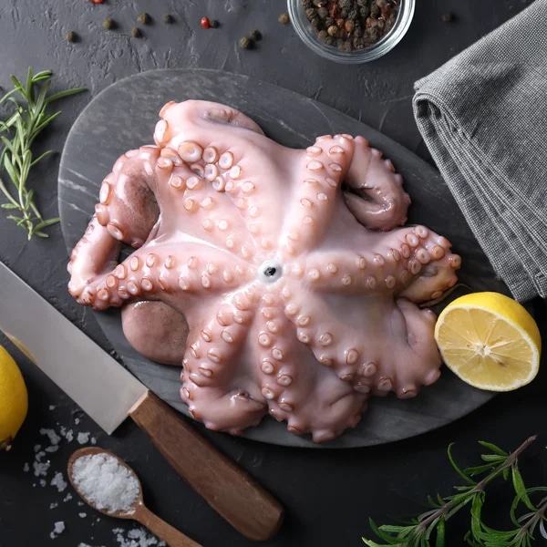 Chobotnice, chlazená