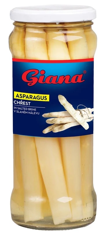 Giana Chřest ve slaném nálevu