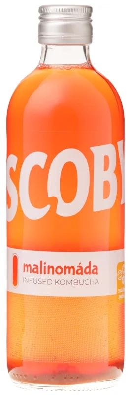 Scoby kombucha Malinomáda