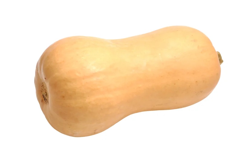 máslová dýně Butternut