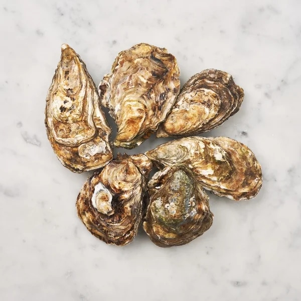 Čerstvé ústřice Zeeland creuse vel. II - 6ks