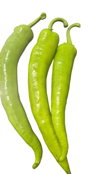 Pálivé červené chilli papričky plněné směsí se sýry v oleji - Eridanous