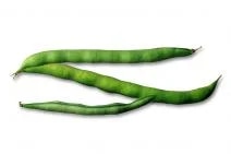 Fazolky