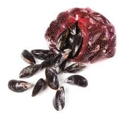 Mušle slávka jedlá jumbo chlaz. 1 kg síť