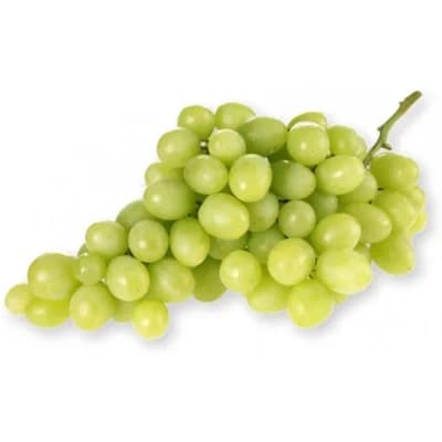 Hrozny bílé Česká republika
