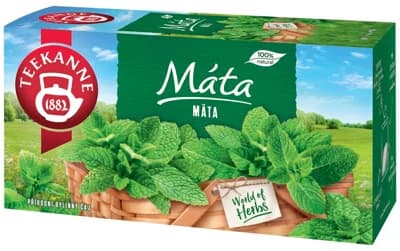 Teekanne Mátový čaj