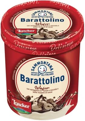 Sammontana Barattolino zmrzlina loacker