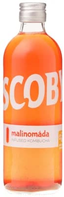 Scoby kombucha Malinomáda