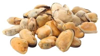 Koktejlové mušle vařené 200/300