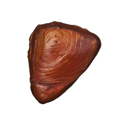 Rybářství Chlumec Tuňák steak uzený