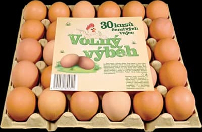 Schubert Vejce z volného výběhu CZ