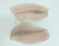 Tlamoun nilský (Tilápie)