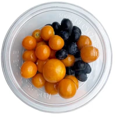 Titbit Ovocná svačinka physalis/borůvky, balení