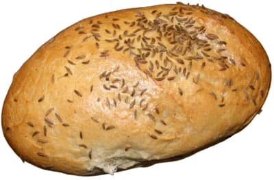 Tritia Dalamánek