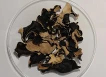 Jidášovo ucho, sušené