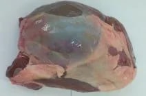 Maso jelení (jelen lesní), kýta