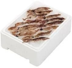 Kalamáry velké 2 - 4 ks chlaz. váž. cca 1 kg