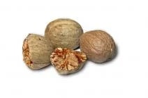 Koření, muškátový oříšek