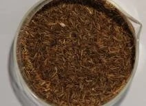 Koření, kmín římský