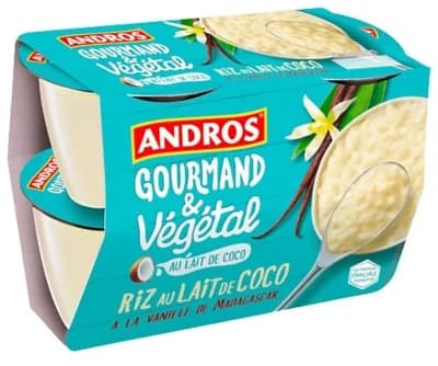 Andros Gourmand & Végétal Fermentovaný veganský rýžový dezert z kokosového nápoje