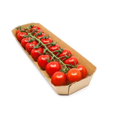 rajče cherry keříčkové