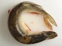 Štika obecná, maso z celé ryby